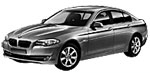 BMW F10 DF010 Fault Code